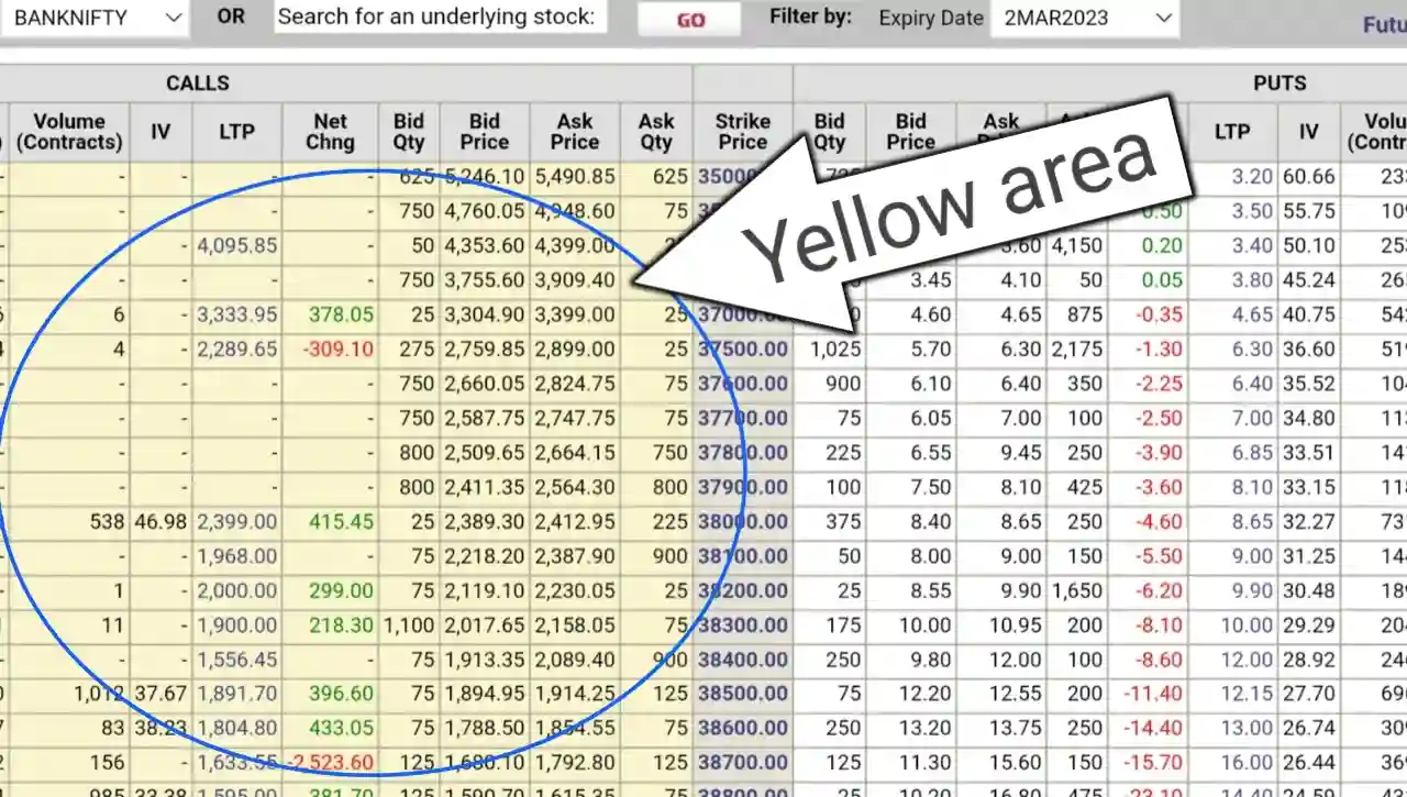 Bank nifty option chain live